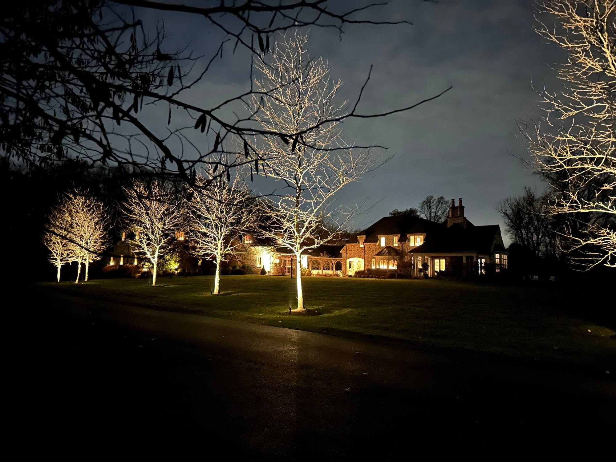 Tree uplighting Chester County PA — bare trees uplit in warm white on an estate lawn